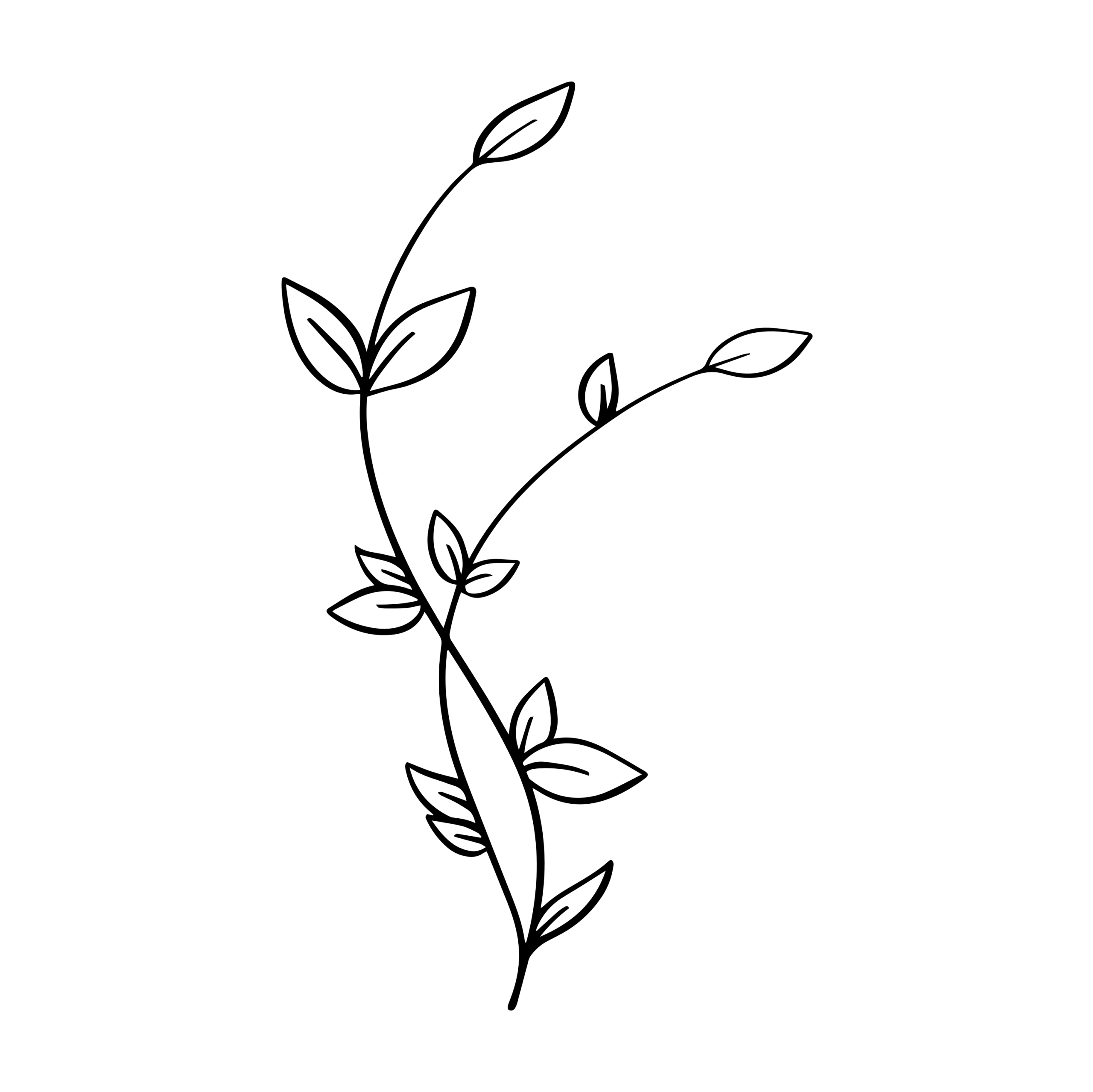 Simple black line drawing of a leafy plant stem with several leaves branching out, inspired by Seattle Dietitian Minh-Hai, on a plain white background.