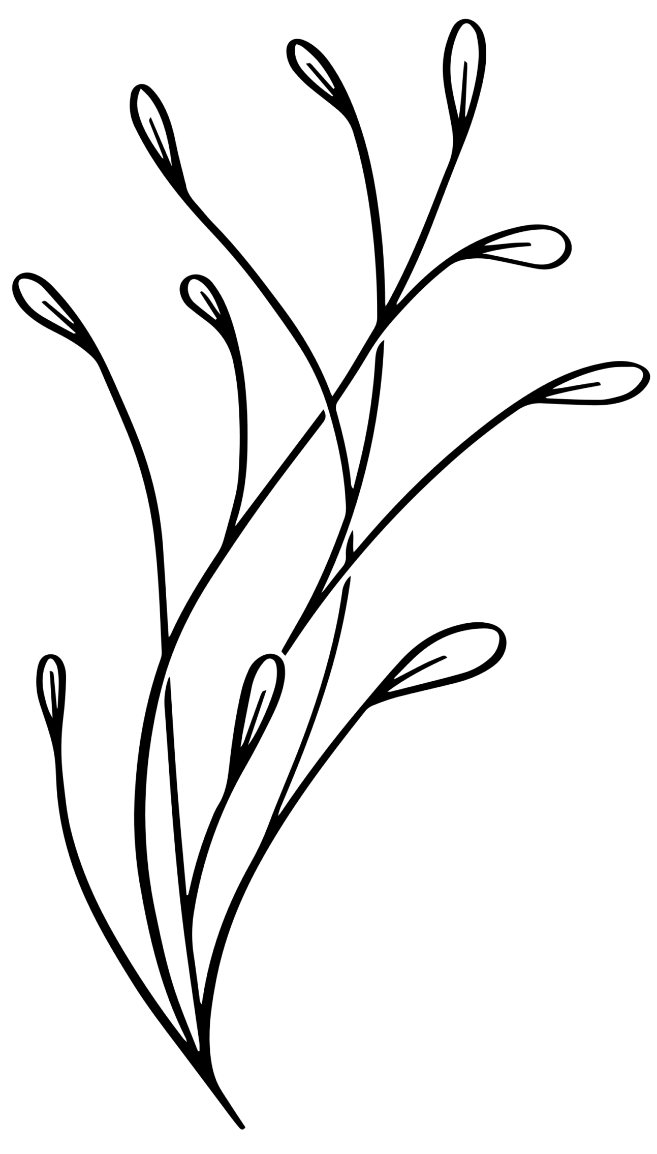 Black and white line drawing of a simple plant with long, curved stems and oval-shaped buds, inspired by Seattle Dietitian Minh-Hai.